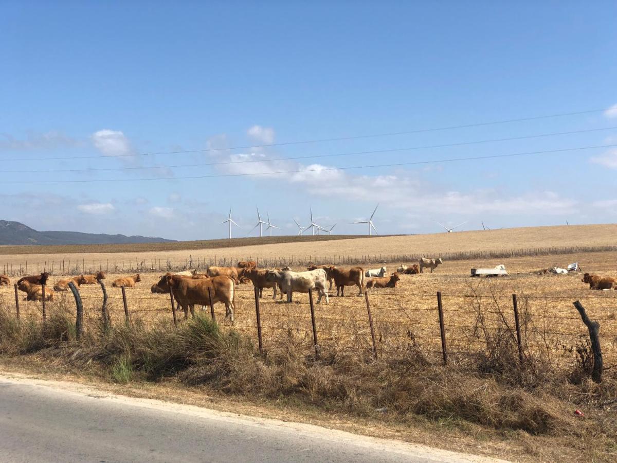 Apartamento Aretusa El Velero Zahara de los Atunes Εξωτερικό φωτογραφία