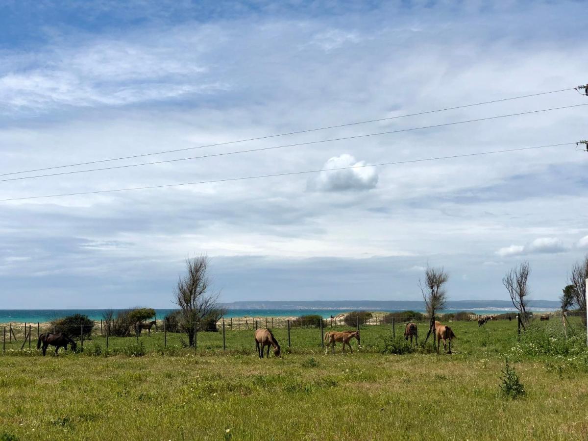 Apartamento Aretusa El Velero Zahara de los Atunes Εξωτερικό φωτογραφία